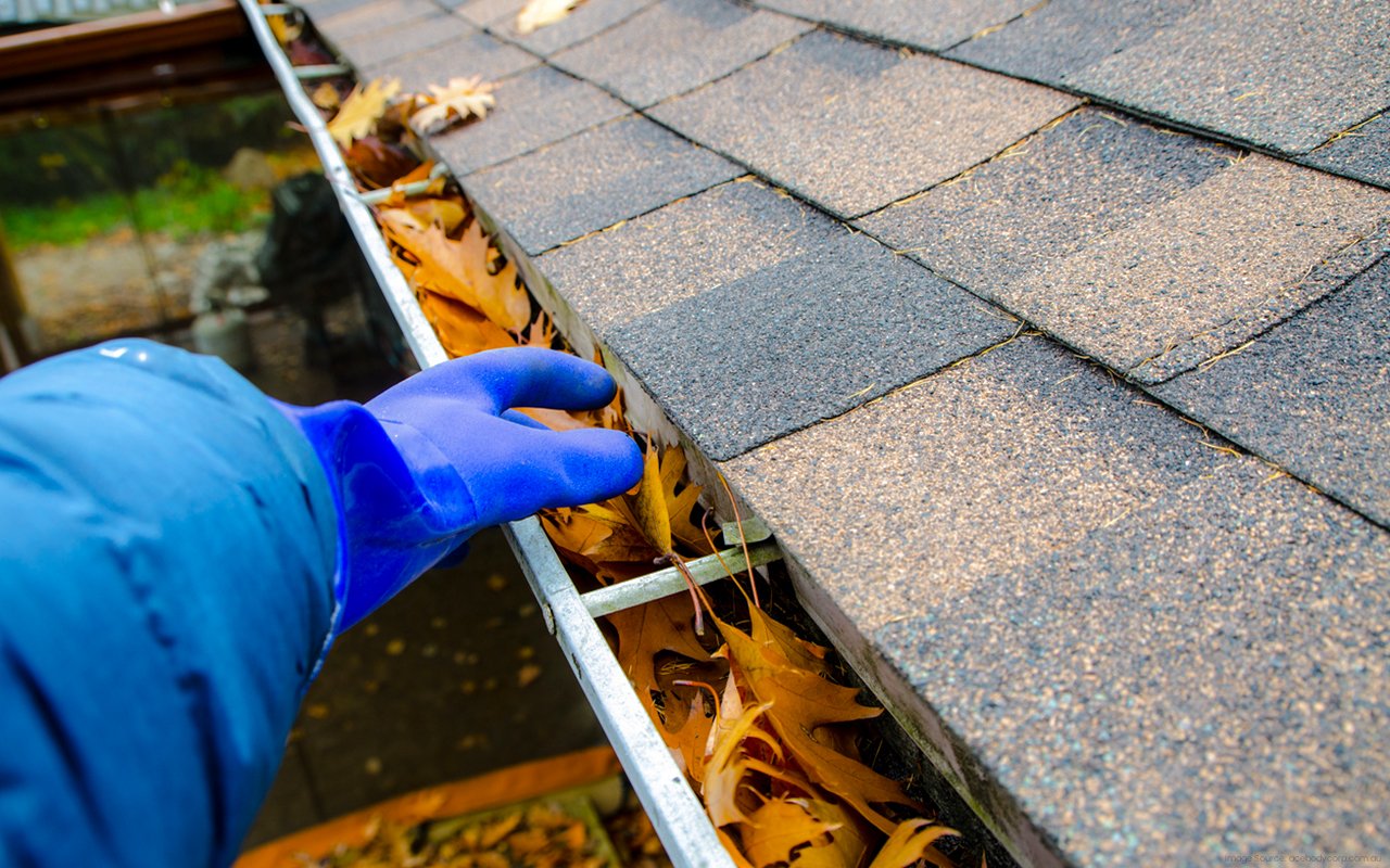 Clean-Your-Gutters