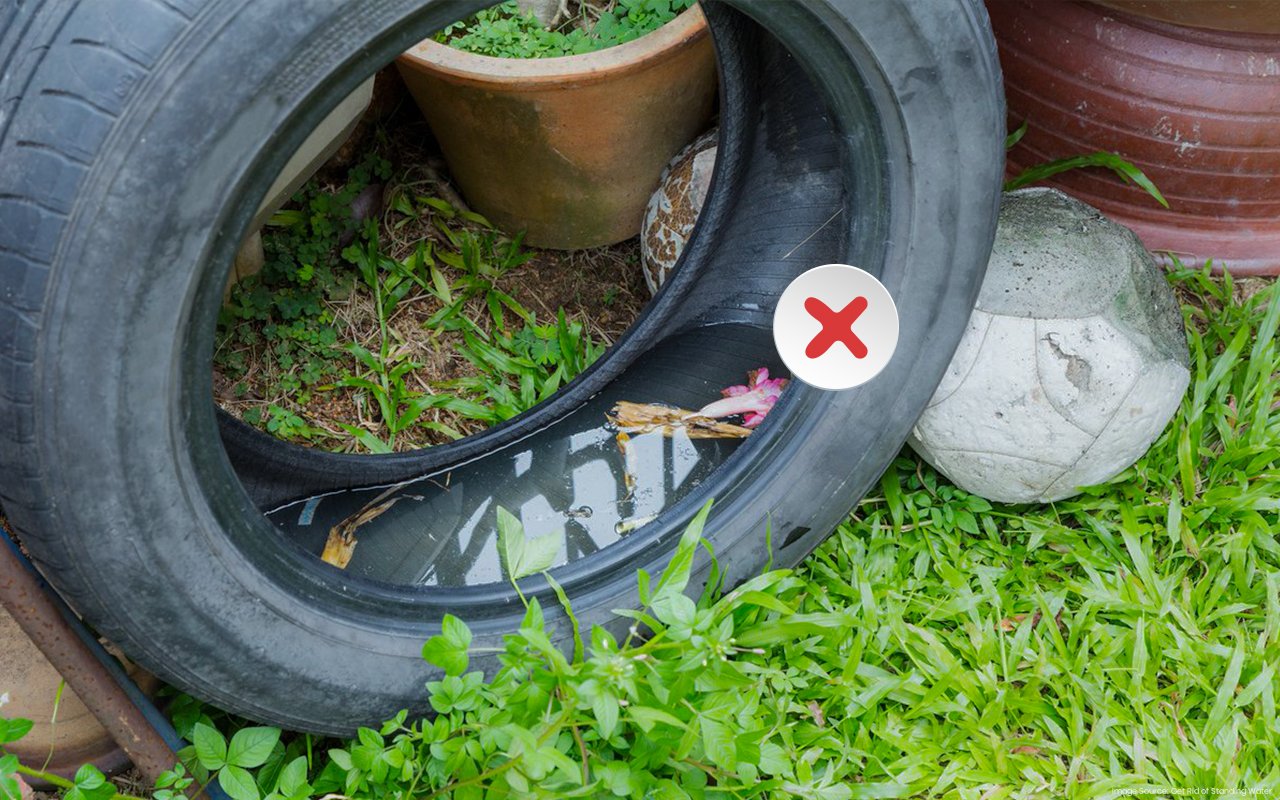 Get-Rid-of-Standing-Water