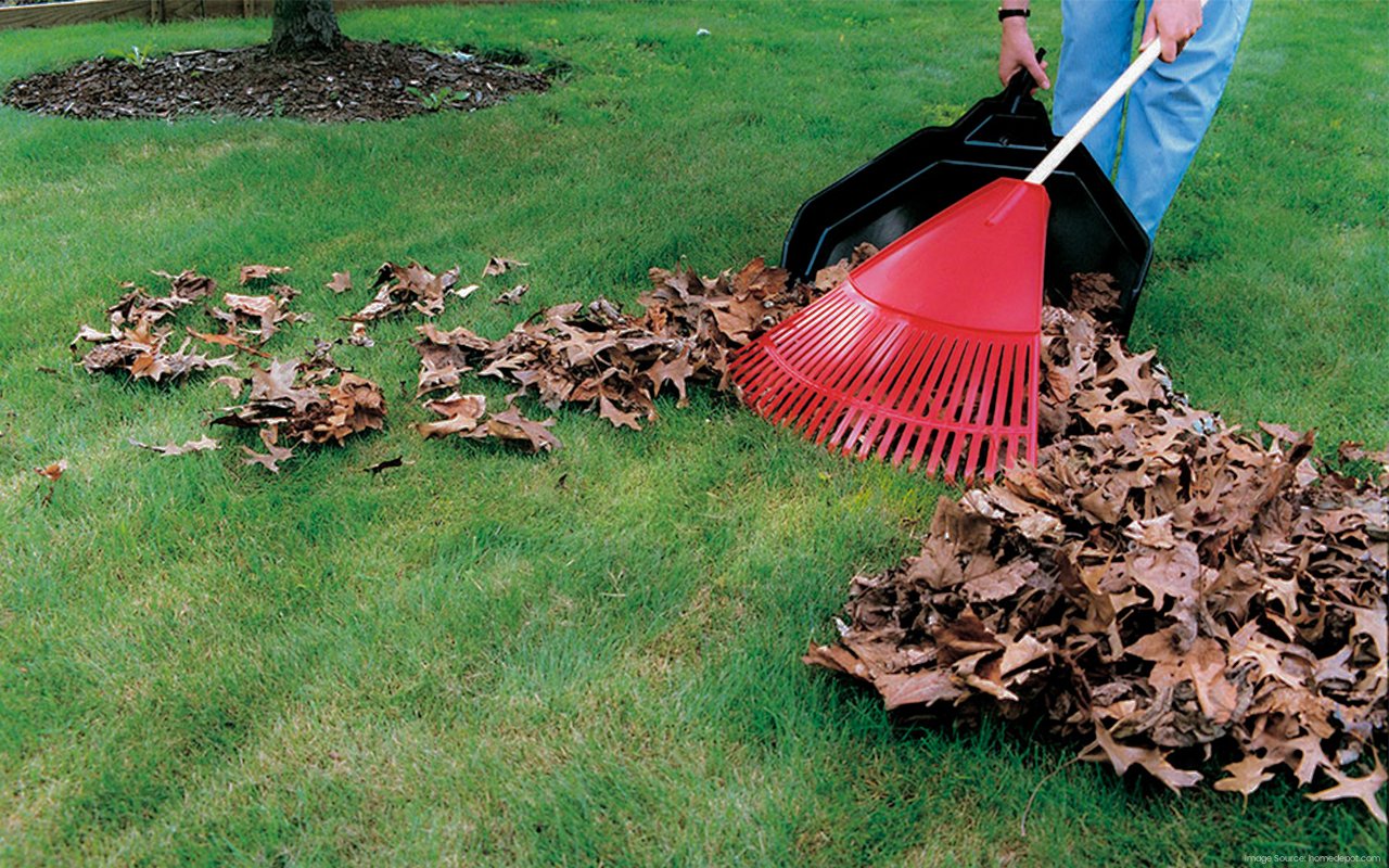 Keep-Your-Yard-Tidy