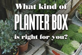 What Kind Of Planter Box Is Right For You