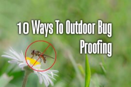 outdoor-bug-proofing-1