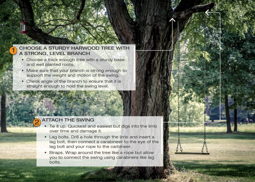 HangATraditionalTreeSwing