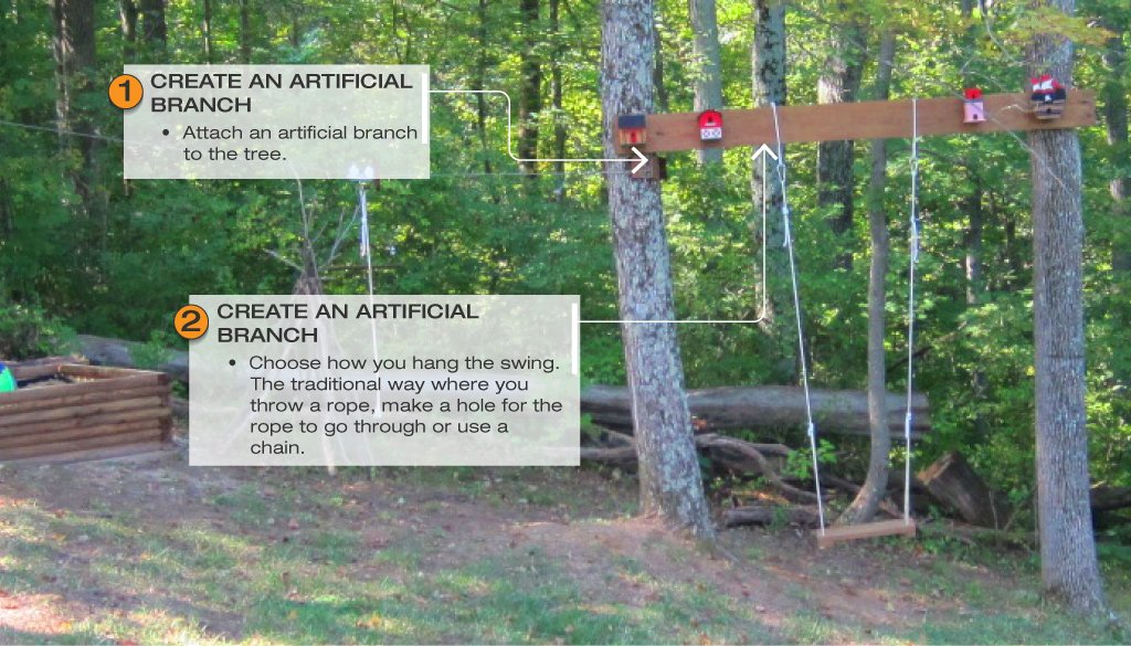 HangATreeSwingFromATreeWithNoBranches