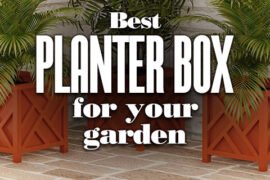 BestPlanterBoxForYourGarden