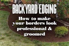 BackyardEdgingHowToMakeYourBordersLookProfessionalAndGroomed
