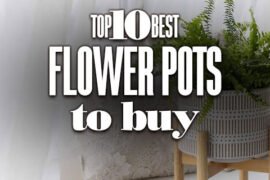The10BestFlowerPotsToBuy