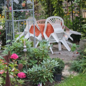 PlantPerennials