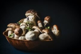 How-To-Grow-Morel-Mushrooms
