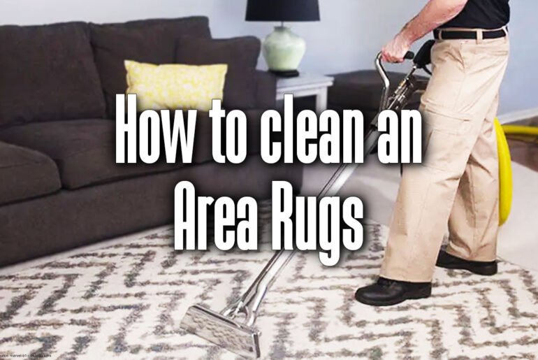 how-to-clean-an-area-rugs