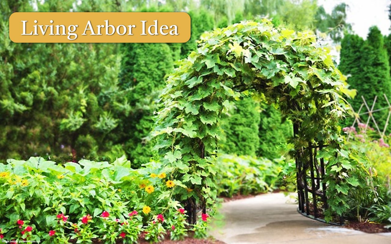 19 -Living-Arbor-Idea