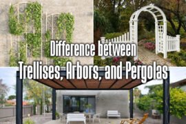 difference-between-trellises-arbors-and-pergolas