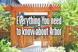 everything-you-need-to-know-about-arbor