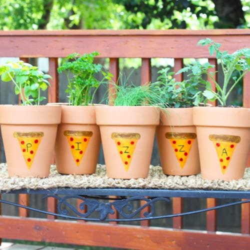 Pizza Herb Garden