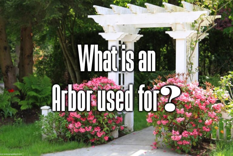 what-is-an-arbor-used-for