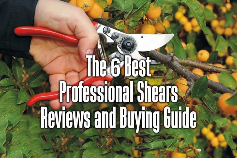 the-6-best-professional-shears-reviews-and-buying-guide