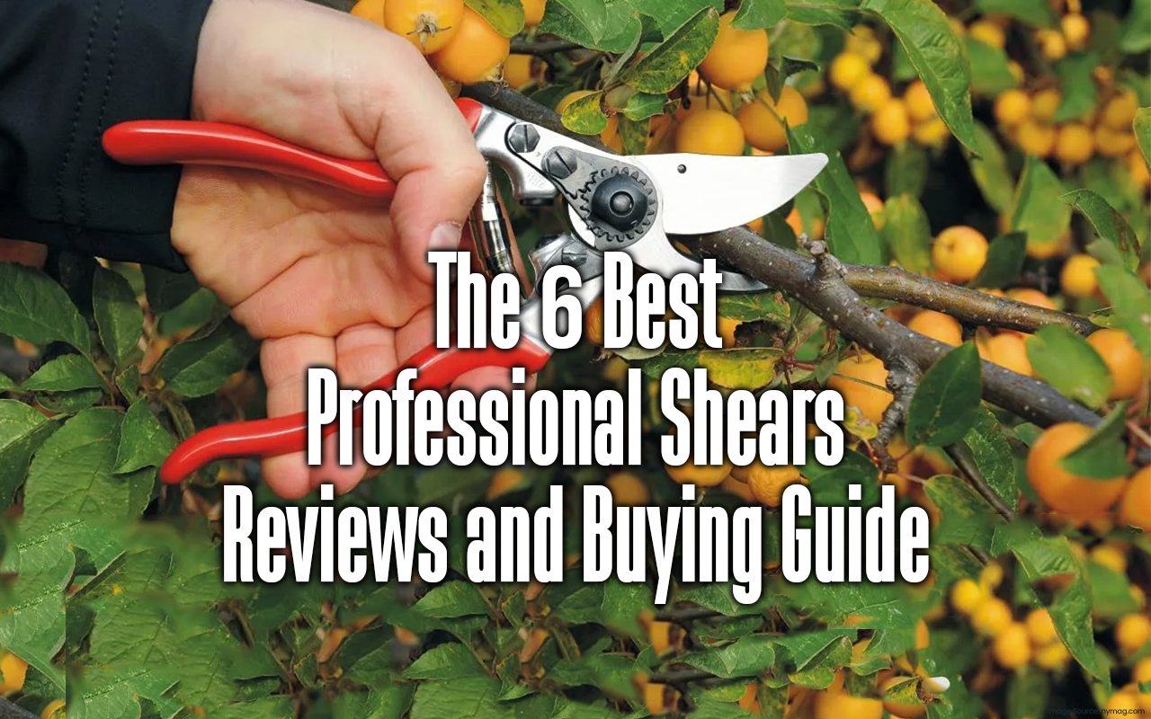 The 6 Best Professional Shears Reviews and Buying Guide