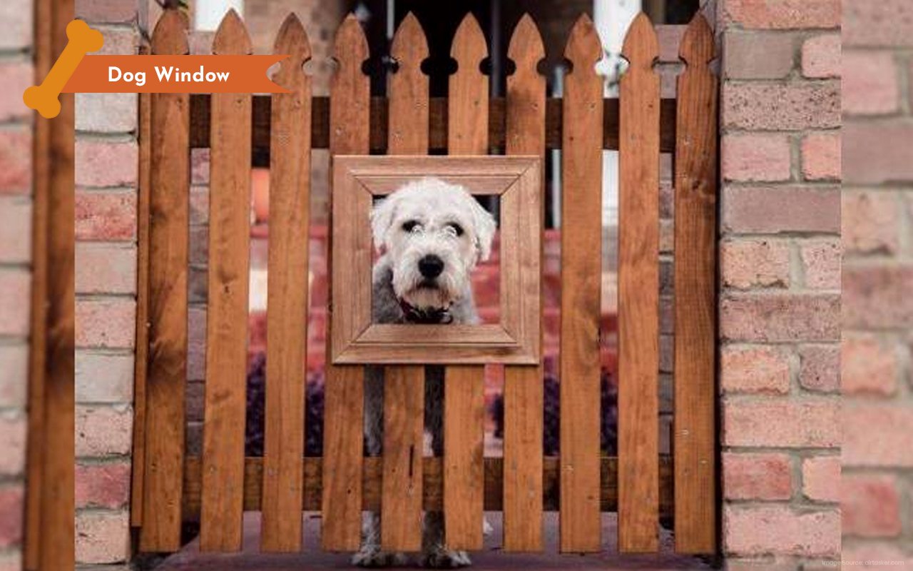 5 -Dog-Window