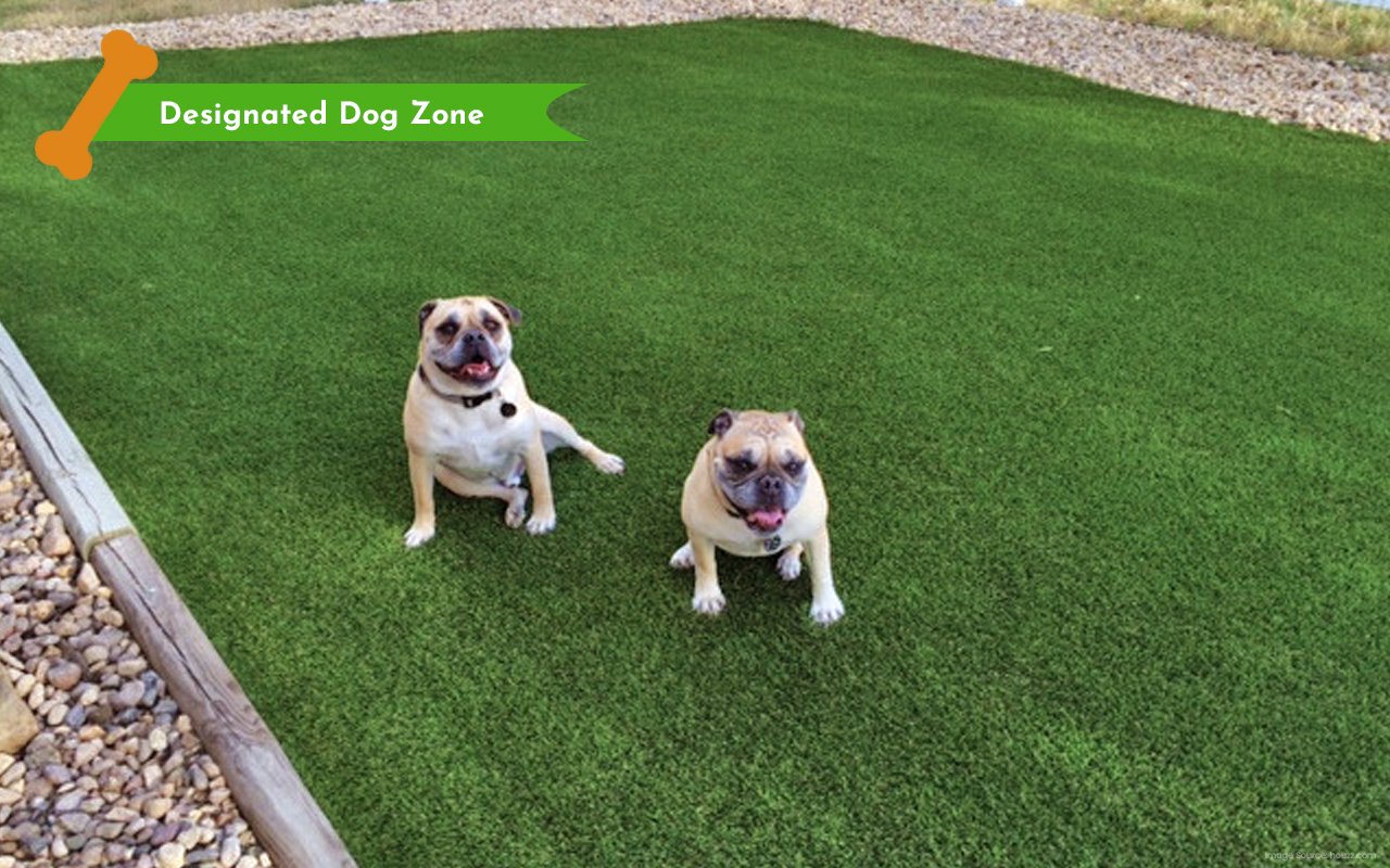 6 -Designated-Dog-Zone