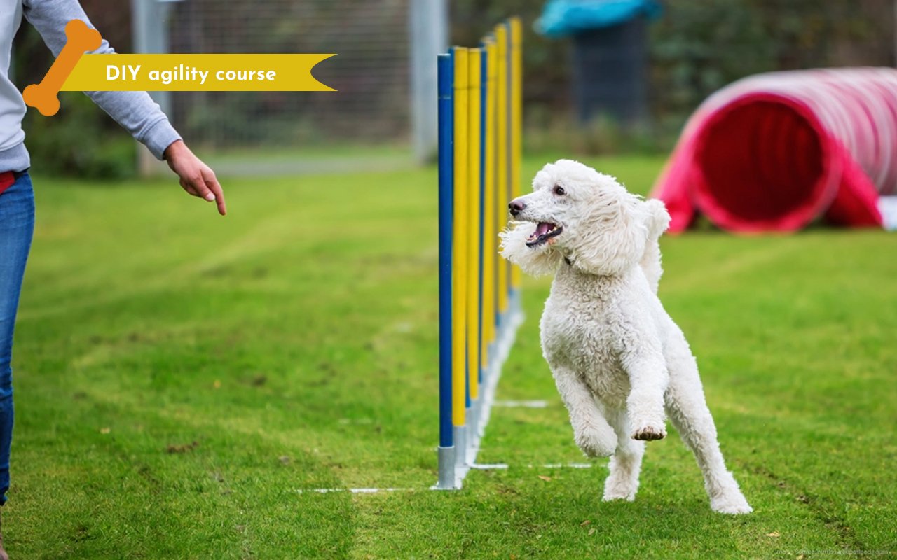 7 -DIY-agility-course